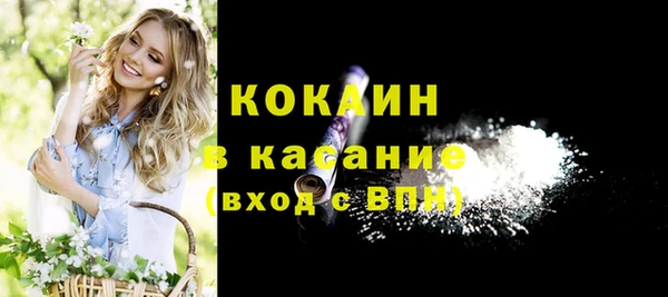 хмурый Аркадак