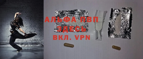 хмурый Аркадак