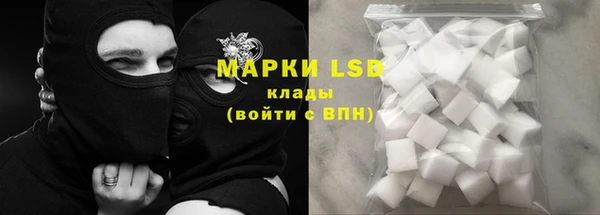 хмурый Аркадак