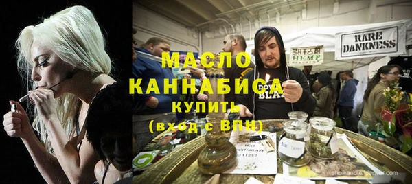 хмурый Аркадак