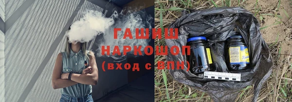 хмурый Аркадак