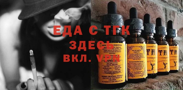 хмурый Аркадак