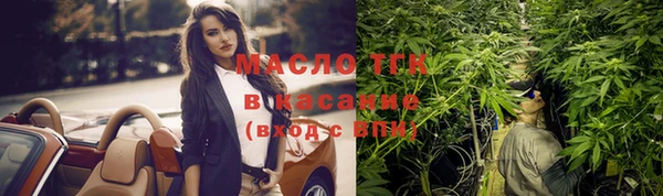 хмурый Аркадак
